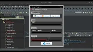 Java credit card payment screen design (with ReflectionUI)
