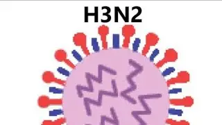 H3N2 virus causes, symptoms and treatment||H3N2 influenza