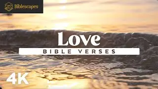 Bible Verses on 