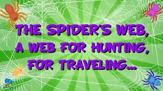 THE SPIDERS WEB, A WEB FOR HUNTING, FOR TRAVELING... | Educational Video for Children