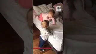 Toddlers Help Each Other Climb On Bed While Crawling Up and Down Repeatedly