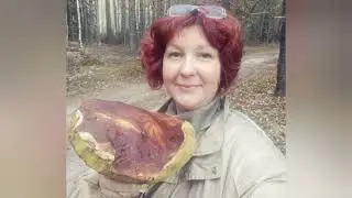 Сбор грибов! Белый боровой