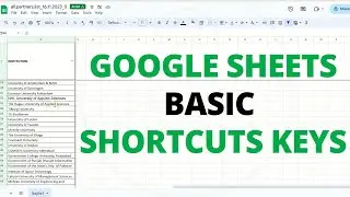 Use Basic Google Sheets Shortcut Keys - Verified Guide