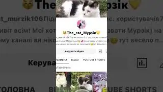 Едіт😽💛 #тренды #cats #cutecats #funnycatsvideos #врекомендации #edits