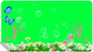 Green Screen Flowers Effect Background | Green Screen Effect | smile4u