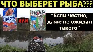 ЗАКИНУЛ ПРИКОРМКУ И ЧЕРЕЗ 5 МИНУТ ФИДЕР В ДУГУ. КТО КЛЮЕТ???