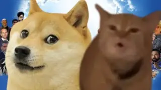 🕊️ RIP Cala (I Go Meow Cat) & Doge Dog (Kabosu)