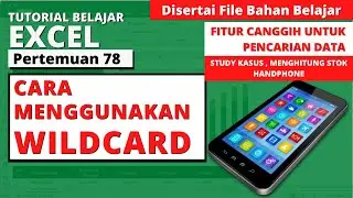 Cara Menggunakan Fitur Wildcard di Excel