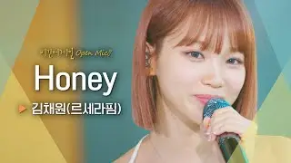 구름 위를 걷는 듯한 달콤한 목소리🍭 김채원(KIM CHAEWON)의 'Honey'♬｜비긴어게인 오픈마이크