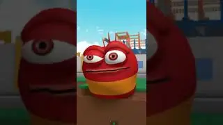 oi oi oi