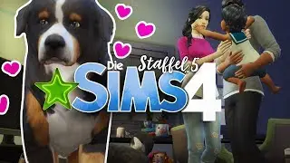 Ein Hund für Yuki & Sam 💗 DIE SIMS 4 Hunde und Katzen