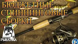 🌟БЮДЖЕТНЫЕ СПИННИНГОВЫЕ СБОРКИ🌟Русская Рыбалка 4(РР4)🌟