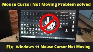 mouse cursor not moving windows 11 | how to fix mouse cursor not moving windows 10 / 11