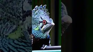 ai is getting weird