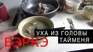 УХА ИЗ ГОЛОВЫ ТАЙМЕНЯ. ТАЁЖНАЯ КУХНЯ.