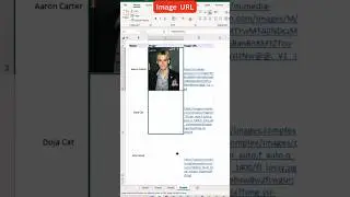 Image URL in Excel