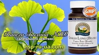 Гинкго билоба НСП Ginkgo Biloba NSP - растение, листья, дерево, GMP продукция - бад NSP