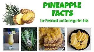 Learn about Pineapple #preschool #kindergarten #kids