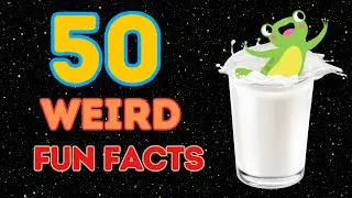 50 Amazing and Interesting Fun Facts You Won't Believe Are Real!