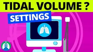 Tidal Volume Ventilator Setting (Medical Definition)