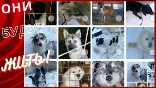 Вы спрашиваете, кого спасли? Показываем!