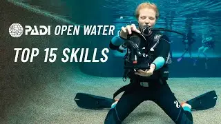 PADI Open Water Skills 🤿  - Top 15 Skills to Learn - Divers Den Australia