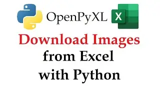 Openpyxl - Download an Image from an Excel Workbook with Python | Data Automation