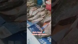 Рыбный день #рыбалка 🐟