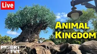 🔴Live: Animal Kingdom Fun -  Walt Disney World Live Stream- 9-29-24