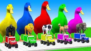 5 Giant Duck Cartoon,Cow,Mammoth,Elephant,Lion,Tiger Paint Wild Animals Crossing Fountain Animation