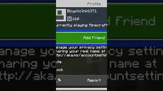 How to Accept Friend Requests on Minecraft 👥