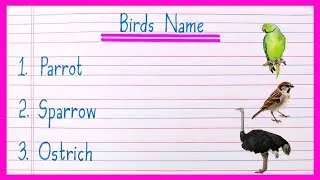 10 Birds Name in English | Birds Name | Birds Name in English | Birds Names | Bird Name