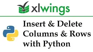 xlwings - Insert & Delete Columns & Rows in Excel Workbooks with Python | Data Automation