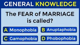 How Good Is Your General Knowledge? Take This 50-question Quiz To Find Out! 