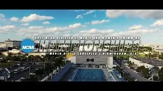 NSU Swimming | 2017 NCAA Championships