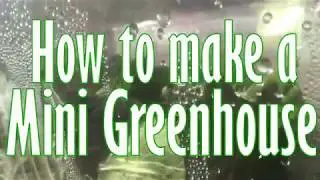 How to Make a Mini-Greenhouse for FREE! 💵