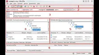 شرح استعمال فايلزيلا في نقل الملفات ftp - Filezilla