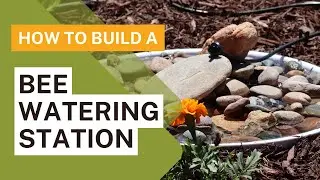 How to Make a Bee Watering Station | Pollinator Water Fountain