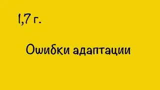 ОШИБКИ АДАПТАЦИИ К Д.САДУ