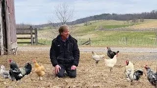 Spend the Day with Me! Farm Shopping, Arranging Flowers & Making Eggs Benedict Casserole!