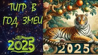 ТИГР в 2025 году /Восточный гороскоп для ТИГРА на 2025 год / ТИГР В ГОД ЗМЕИ.