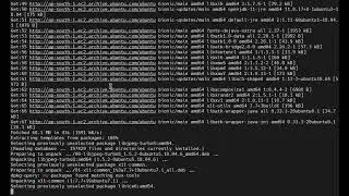 How to install Java in Ubuntu server?