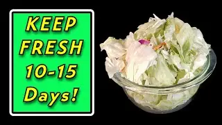 How To Keep Salad Fresh Longer