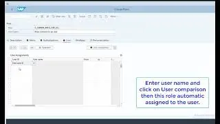 Video 10 - How to create single role in SAP