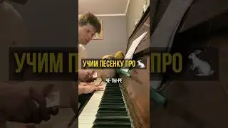 Занятие с учеником 🎹 #pianolessons #piano #урокифортепиано #фортепианоснуля #музыка