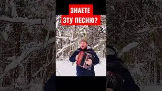 СПЕЛ В -20, В ЛЕСУ!!! ЗВЕРИ В ШОКЕ!!!