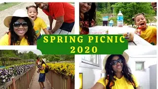 Spring Picnic Ideas For Family | Fun Ideas For Spring Picnic