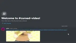 cursed discord webm video