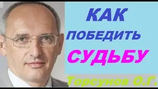 Как победить судьбу. Торсунов О. Г.