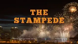 The Stampede